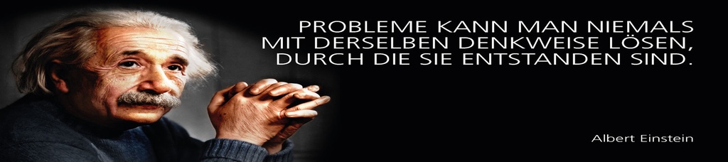 [LA-1815231] Blechschild 10x46 cm Einstein Zitat  Probleme kann man niemals mit