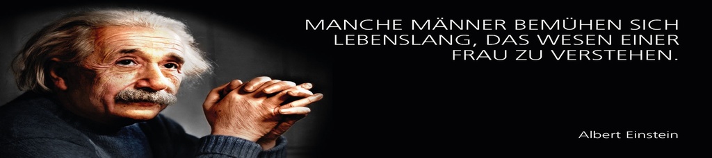 [LA-1815236] Blechschild 10x46 cm Einstein Zitat  Manche Männer bemühen sich lebenslang
