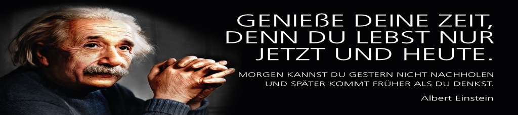 [LA-1815237] Blechschild 10x46 cm Einstein Zitat  denn du lebst nur jetzt und heute