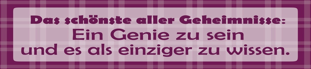 [LA-1815246] Blechschild 10x46 cm Das schönste aller Geheimnisse