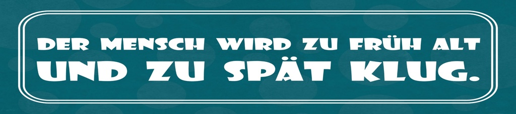 [LA-1815307] Blechschild 10x46 cm Der Mensch wird zu früh alt und zu spät klug