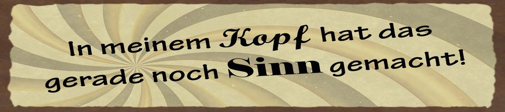 [LA-1815328] Blechschild 10x46 cm In meinem Kopf hat das gerade noch Sinn gemacht