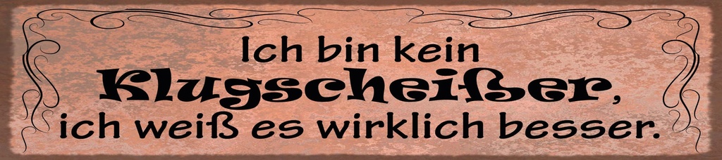 [LA-1815348] Blechschild 10x46 cm Ich bin kein Klugscheißer. Ich weiß