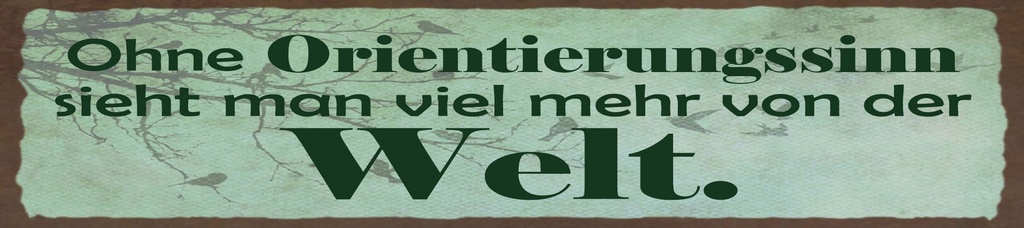 [LA-1815351] Blechschild 10x46 cm Ohne Orientierungssinn sieht man mehr von der Welt