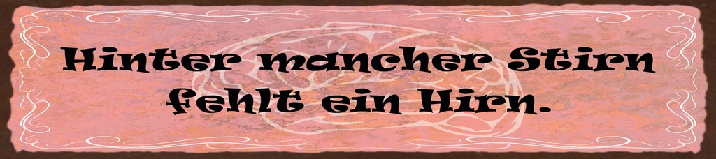 [LA-1815471] Blechschild 10x46 cm Hinter mancher Stirn fehlt ein Hirn