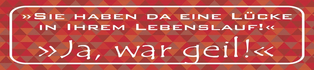 [LA-1815488] Blechschild 10x46 cm Lücke in Lebenslauf ja war geil