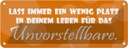Blechschild 10x27 cm Lass immer Platz in deinem Leben Spruch Zitat