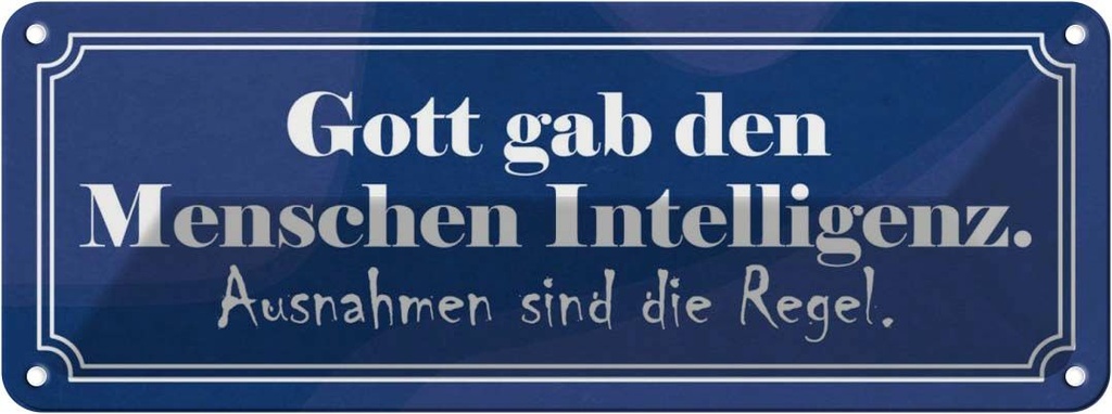 Blechschild 10x27 cm Gott gab Menschen Intelligenz Dekoration Spruch Zitat