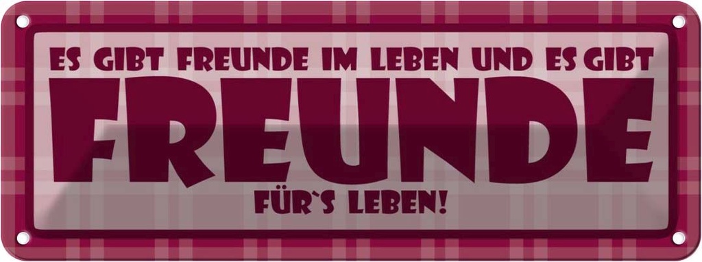 Blechschild 10x27 cm Es gibt Freunde im Leben Dekoration Spruch Zitat