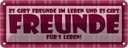 Blechschild 10x27 cm Es gibt Freunde im Leben Dekoration Spruch Zitat