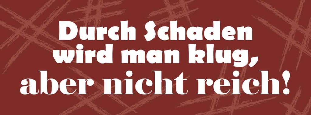 [LA-116309-H] Holzschild 10x27 cm Durch Schaden wird man klug Dekoration