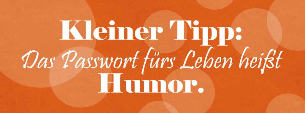 [LA-116326-H] Holzschild 10x27 cm Passwort für's Leben Humor Dekoration