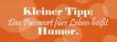 Holzschild 10x27 cm Passwort für's Leben Humor Dekoration
