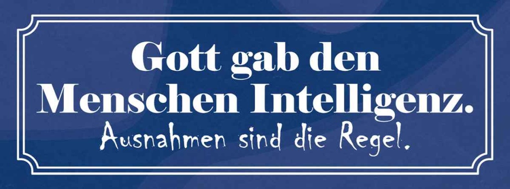 Holzschild 10x27 cm Gott gab Menschen Intelligenz Dekoration