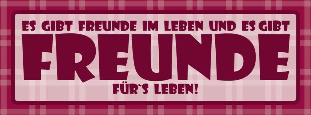 Holzschild 10x27 cm Es gibt Freunde im Leben Dekoration