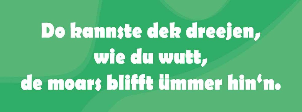 Holzschild 10x27 cm Do kannste dek dreejen wie du wutt Spruch Zitat