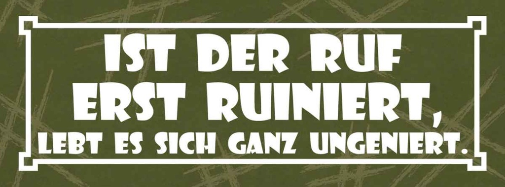 Holzschild 10x27 cm Ist der Ruf erst ruiniert Dekoration