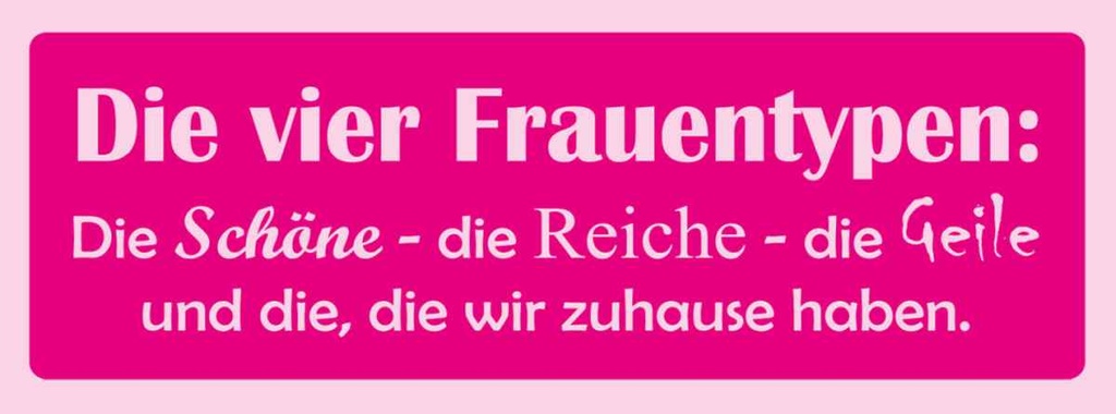 Holzschild 10x27 cm Die 4 Frauentypen Männer Frauen