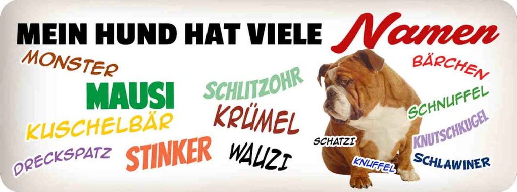 Holzschild 10x27 cm Mein Hund hat vielen Namen Tier Haustier