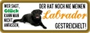 Holzschild 10x27 cm Labrador Hund gestreichelt Tier Haustier