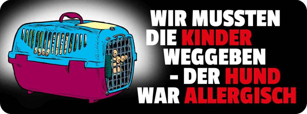 Holzschild 10x27 cm Hund war allergisch Tier Haustier