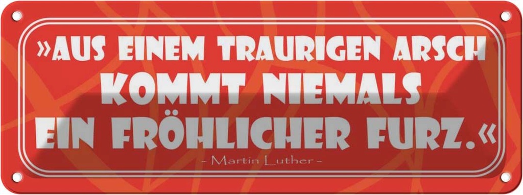 Blechschild 10x27 cm Aus einem traurigen Arsch Dekoration Spruch Zitat