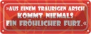 Blechschild 10x27 cm Aus einem traurigen Arsch Dekoration Spruch Zitat
