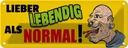 Blechschild 10x27 cm lieber lebendig als normal Dekoration Liebe