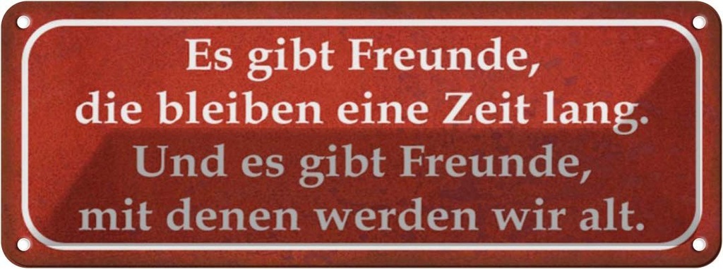 [LA-116733] Blechschild 10x27 cm es gibt Freunde mit denen alt Familie