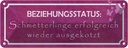 Blechschild 10x27 cm Beziehungsstatus Schmetterlinge Spruch Zitat