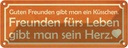 Blechschild 10x27 cm Freunden fürs Leben gibt Herz Familie Freunde