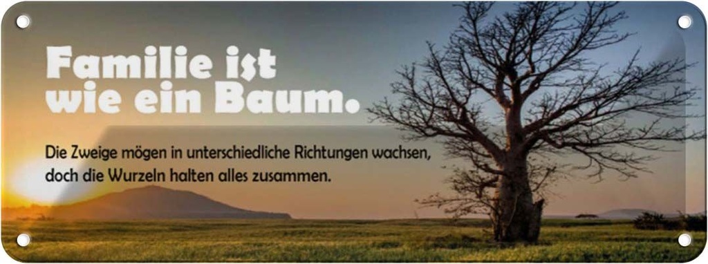 [LA-116827] Blechschild 10x27 cm Familie ist wie Baum die Zweige Freunde