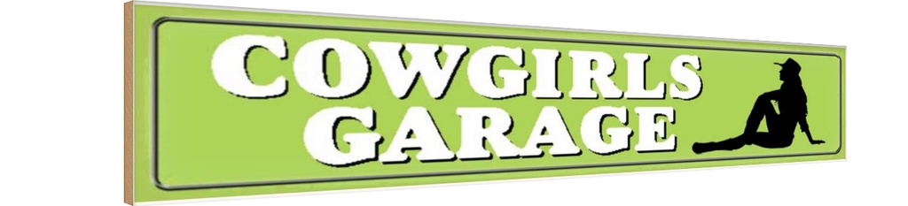 [LA-120639-H] Holzschild 10x46 cm Pinup Cowgirls Garage Pin Up
