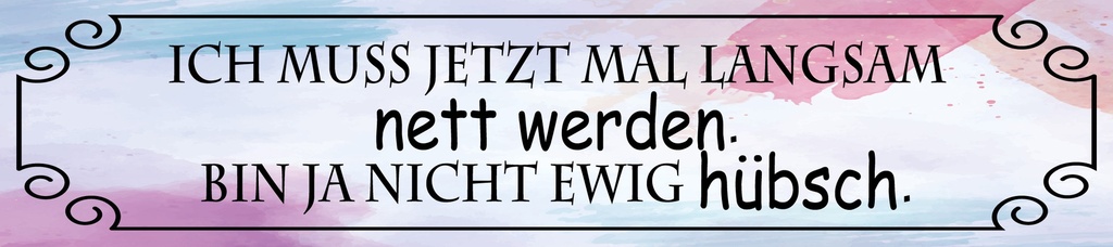 [LA-1814487-H] Holzschild 10x46 cm ich muss mal langsam nett werden