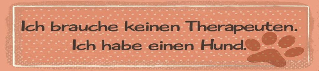 [LA-1814587-H] Holzschild 46x10 cm Brauche keinen Therapeuten