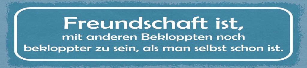 [LA-1814732-H] Holzschild 10x46 cm Freundschaft ist mit anderen Bekloppten