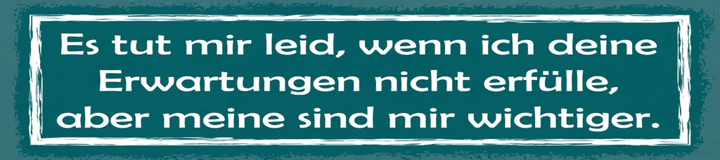 [LA-1814974-H] Holzschild 10x46 cm Erwartungen meine sind mir wichtiger