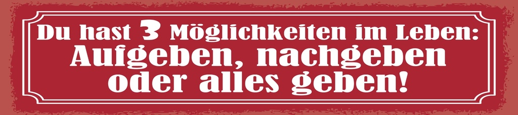 [LA-1815051-H] Holzschild 10x46 cm Du hast 3 Möglichkeiten im Leben