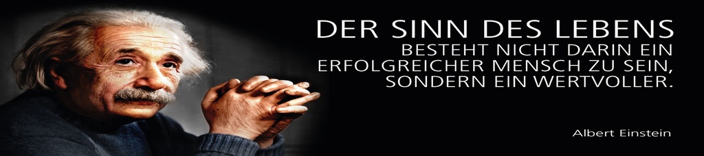 [LA-1815206-H] Holzschild 10x46 cm Einstein Zitat  Der Sinn des Lebens