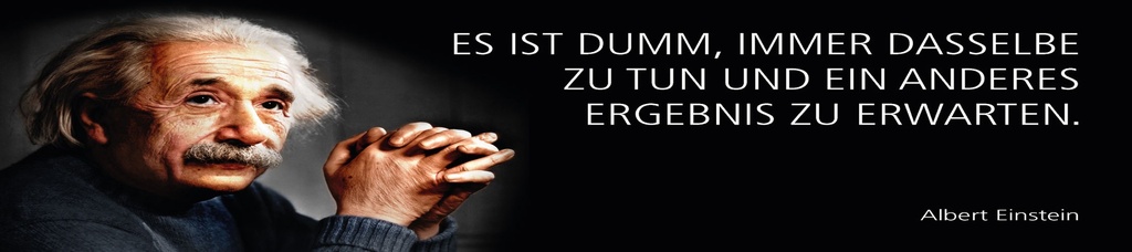 [LA-1815209-H] Holzschild 10x46 cm Einstein Zitat  Es ist dumm, immer dasselbe zu tun
