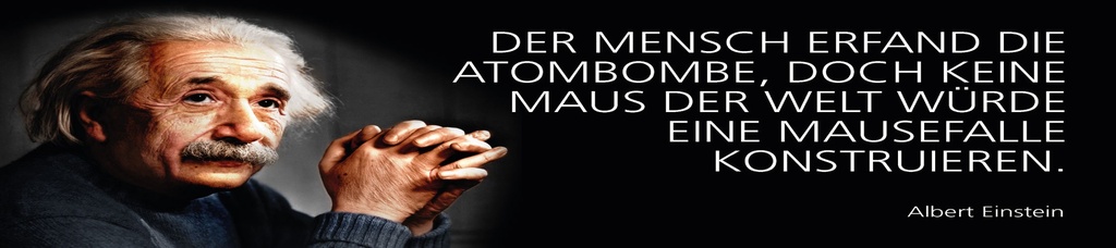 [LA-1815226-H] Holzschild 10x46 cm Einstein Zitat  Der Mensch erfand die Atombombe