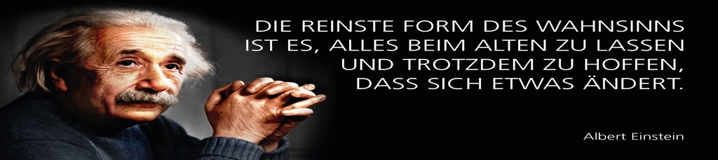 [LA-1815229-H] Holzschild 10x46 cm Einstein Zitat  Die reinste Form des Wahnsinns ist es