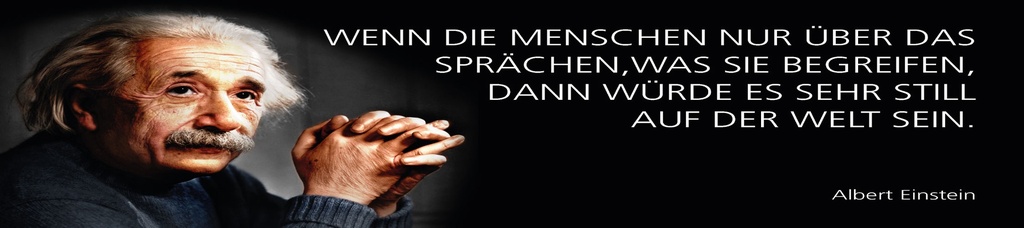 [LA-1815230-H] Holzschild 10x46 cm Einstein Zitat  Wenn die Menschen nur über das sprächen
