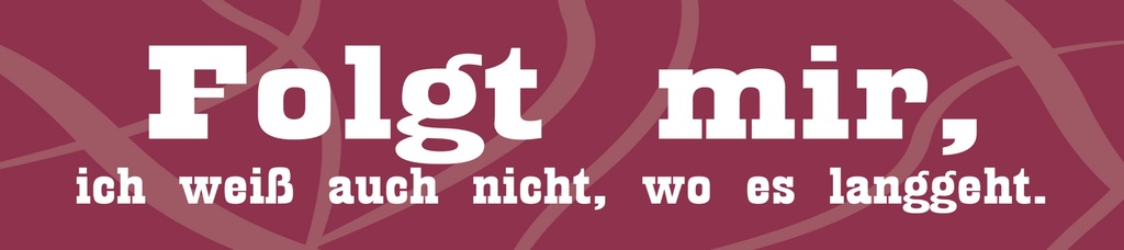 [LA-1815245-H] Holzschild 10x46 cm Folgt mir, ich weiß auch nicht, wo es langgeht.