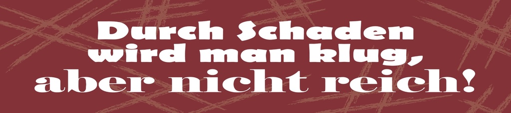 [LA-1815254-H] Holzschild 10x46 cm Durch Schaden wird man klug