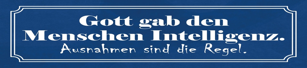 [LA-1815276-H] Holzschild 10x46 cm Gott gab den Menschen Intelligenz