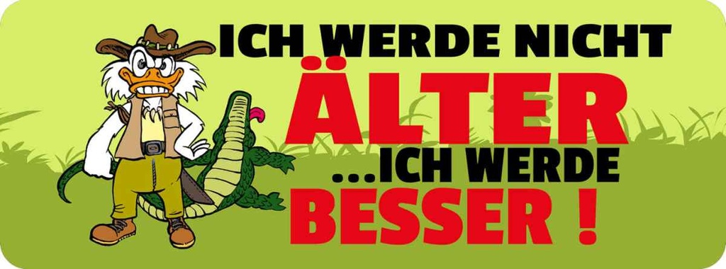 Holzschild 10x27 cm Ich werde nicht älter besser Spruch Zitat