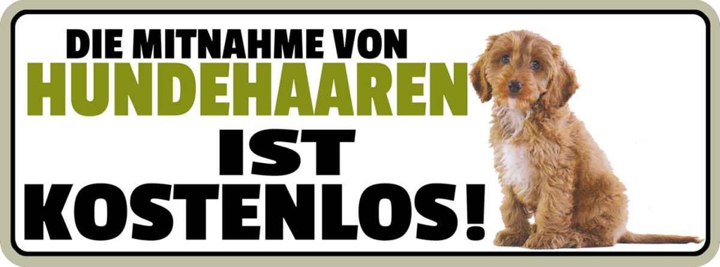 Holzschild 10x27 cm Mitnahme von Hundehaaren kostenlos Tier Haustier