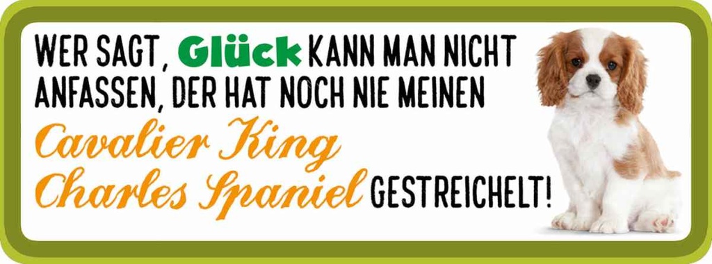 Holzschild 10x27 cm Cavalier King Char. Sp. Hund gestreichelt Tier Haustier