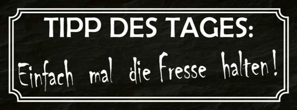 [LA-116603-H] Holzschild 10x27 cm Tipp des Tages die Fresse halten Spruch Zitat